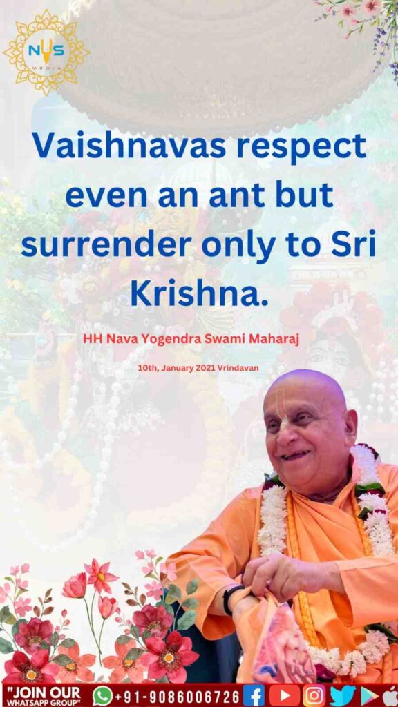 WhatsApp Image 2024 12 13 at 32128 PM